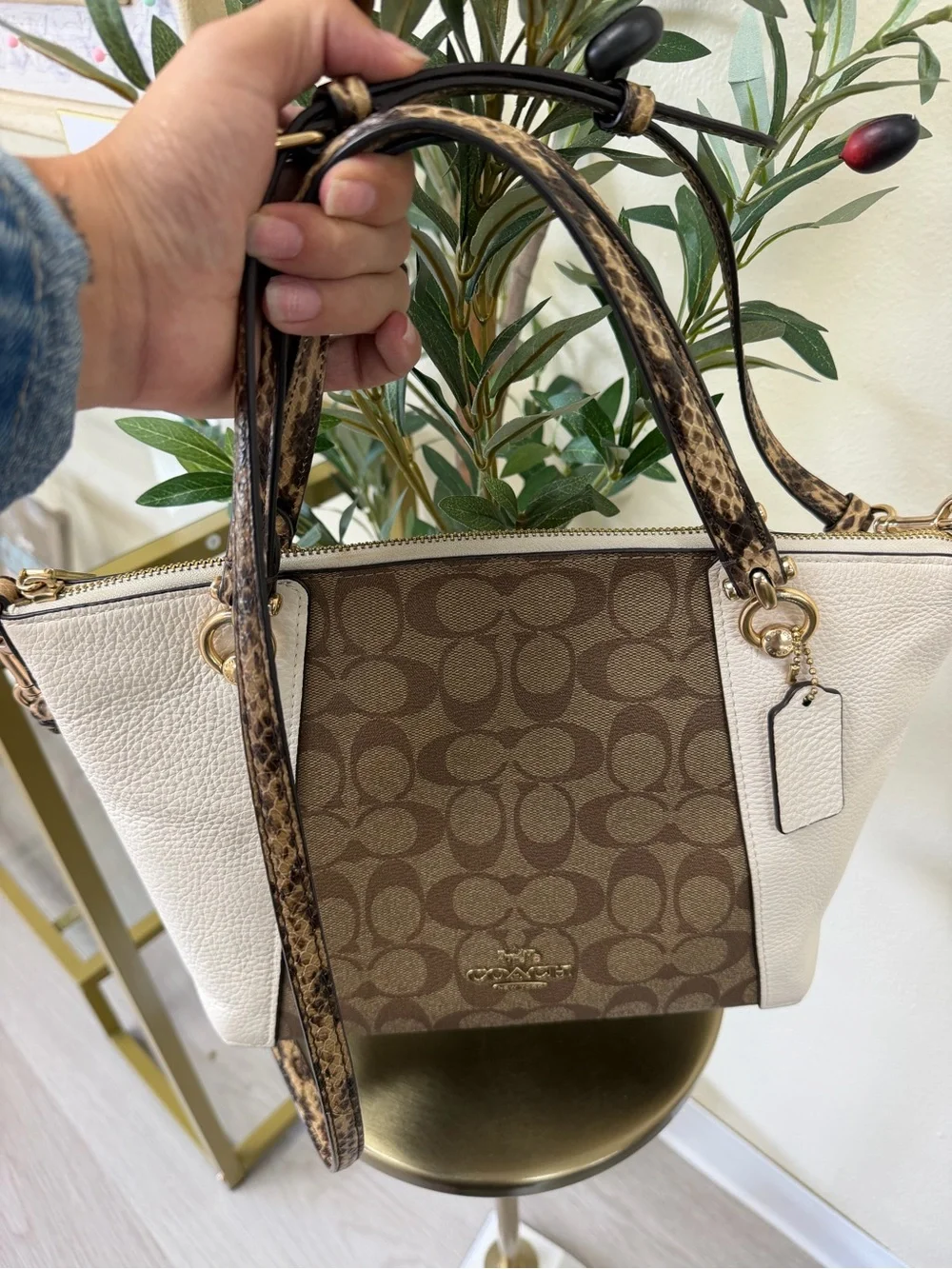 COACH Kacey Satchel colorblock signatute canvas